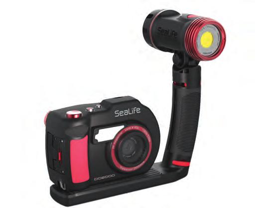 the DC2000 Pro Light will capture vibrant underwater colours that are typically muted and colour-less.