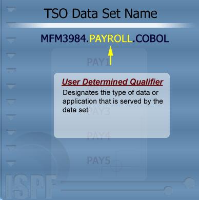 Data Set Basics User Determined Qualifier The second part of the data set name is the user determined qualifier, which is also referred to as the group.