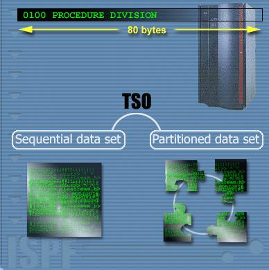 Data Set Basics Introduction This module, ISPF Data Set Basics, introduces you to the two most common types of data sets, sequential and