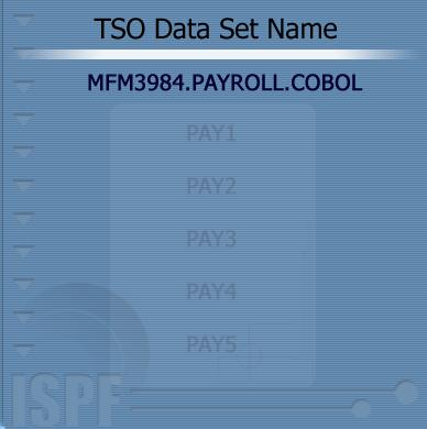Data Set Basics Parts of the TSO Data Set Name Standard TSO data set naming calls for three qualifiers within the name of the data set: High-level Qualifier User Determined Qualifier Type of Data