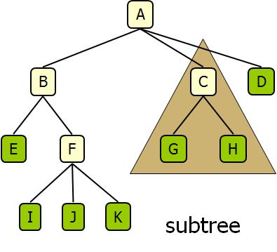 Some Terminologies Siblings: nodes share the same parent Internal node: node with at least one child (A, B, C, F) External node (leaf): node without children (E, I, J, K, G, H, D) Ancestor of a node: