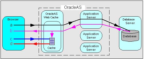 How does OracleAS Web Cache work? server in the cluster. Further features guarantee performance and provide surge protection when application Web server load increases.