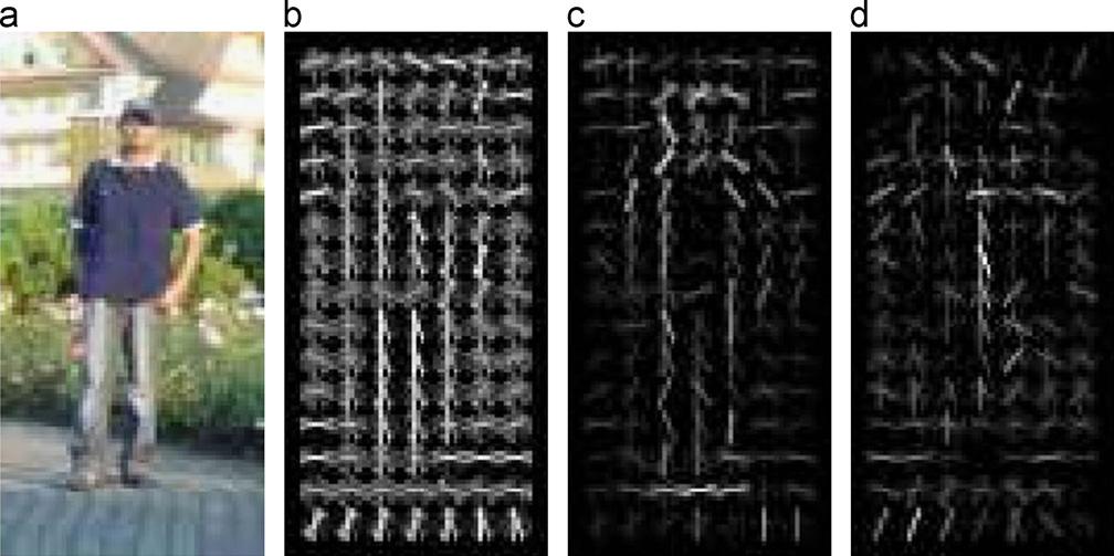 2224 T.-H.-B. Nguyen, H. Kim / Pattern Recognition 46 (2013) 2220 2227 Fig. 5. (a) A test image, (b) HOG descriptor, (c, d) HOG descriptor weighted by the positive and negative SVM weights [13]. Fig. 6.