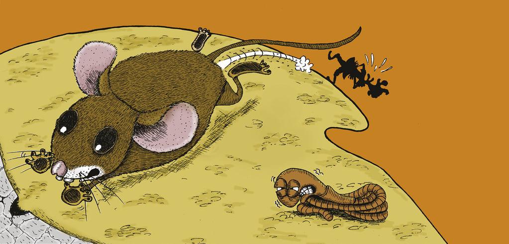 Wriggly, the earthworm curled up with Hatchuram s hatchu hatchu.