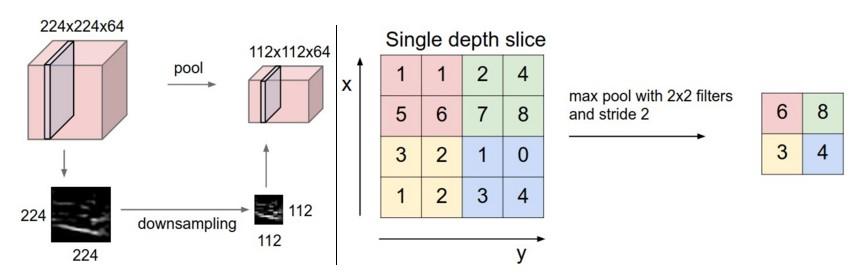 Pooling layers Convolutional neural networks also contain pooling layers.