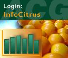 Detailed Instructins Accessing InfCitrus 1. G t website www.citrusaustralia.cm.au 2.