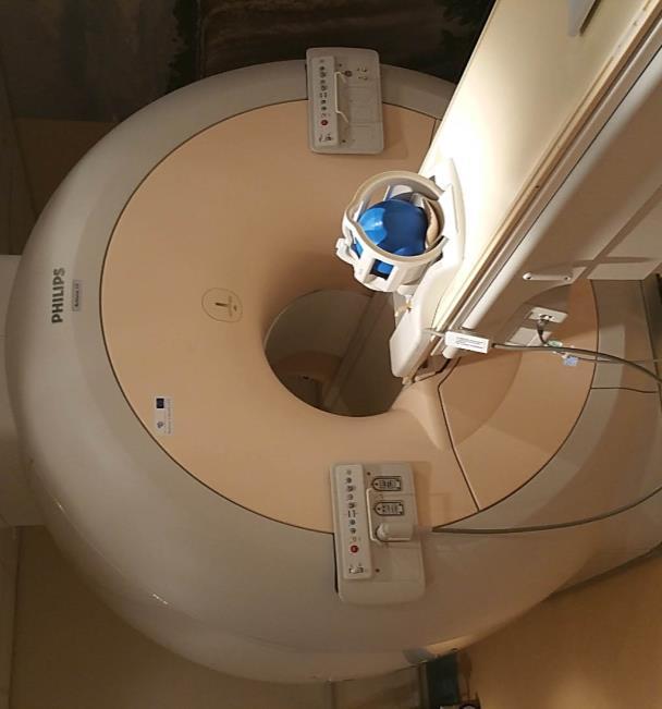 Methods and materials Experiments were performed on a clinical 1.5 T MR-system Achieva XR at National Cancer Institute using Philips SENSE Head coil.