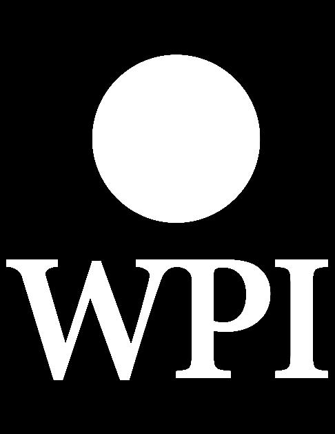WordPress Manual WPI