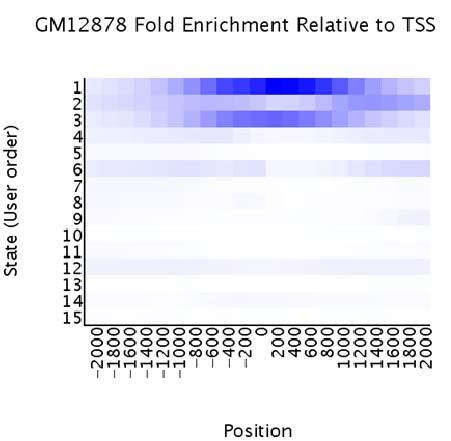 Supplementary Figure 3: Example Heat Map of Chromatin State Positional Enrichments.