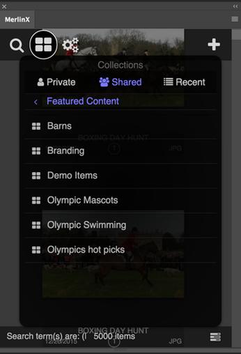 of browsing those created on the Merlin server. To do so, click on the Collections button in the toolbar to reveal the Collections popover.