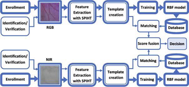 2 Fig. 1. Multimodal palmprint identification/verification system based on SPIHT and Radial Basis Function. A. SPIHT algorithm III.
