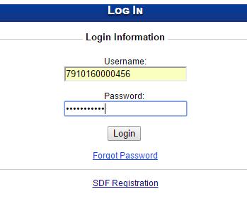 3 Indicium will revert the Change Password page for the SDF to update the password to a new password.