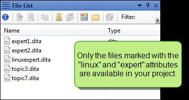 Windows) and the audience attribute is set to expert (excluding novice users).