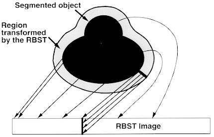 Genetic algorithm based high-sensitivity classifier 2857 Figure 2. The formation of the RBST image. Figure 3. Block diagram of the stages of RBST image computation.