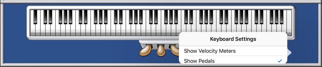 Customizing View and Playback Any MIDI file you open in Home Concert Xtreme can be customized with your text notes, finger numbers, dynamics, and more.