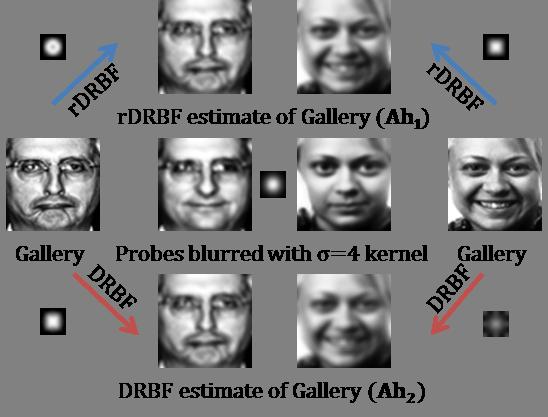 Figure 3.3: Comparison of DRBF with its robust version rdbrf: The robust version rdbrf can handle outliers, such as those due to expression variations, more effectively.
