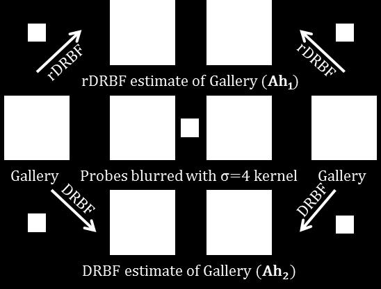 Note that the probe images have a different expression than the gallery images. The blur kernels estimated by the two algorithms rdrbf and DRBF are shown on the top and bottom rows respectively.