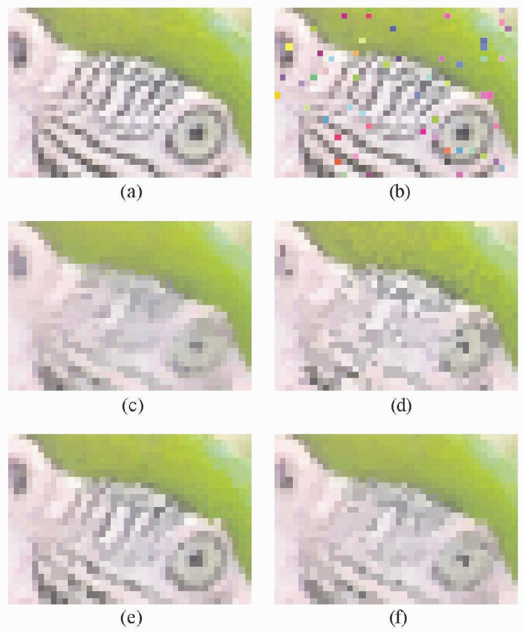 Color Image Processing Using Generalized Weighted Vector Filters 271 Figure 3.