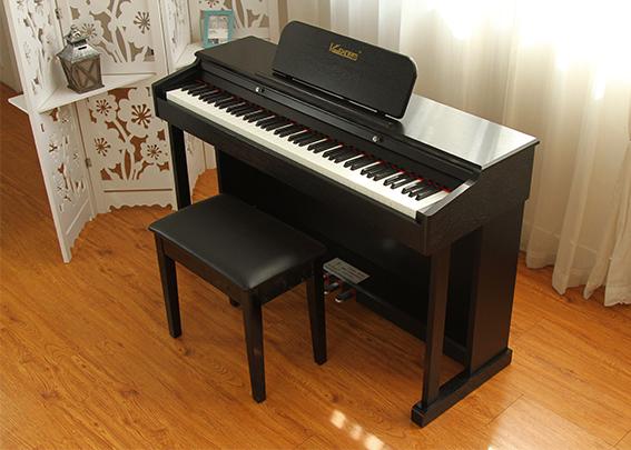 Grand-graded Digital Piano for professional performance Model No.