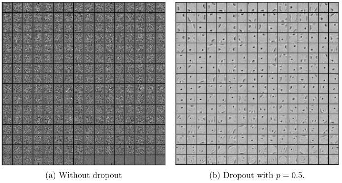 Noises on inputs or hidden units: Dropout [Srivastava et al., 2014] Why dropout generalizes well? 1. It can be thought of as ensemble of 2 n subnets with parameter sharing 2.