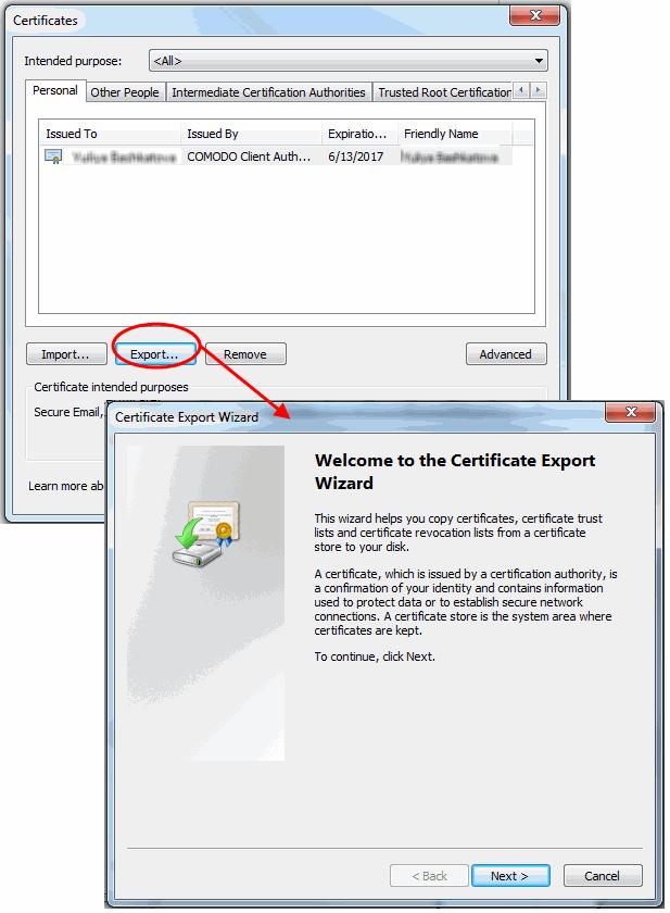 5. In the Certificate Export Wizard, click 'Next'.