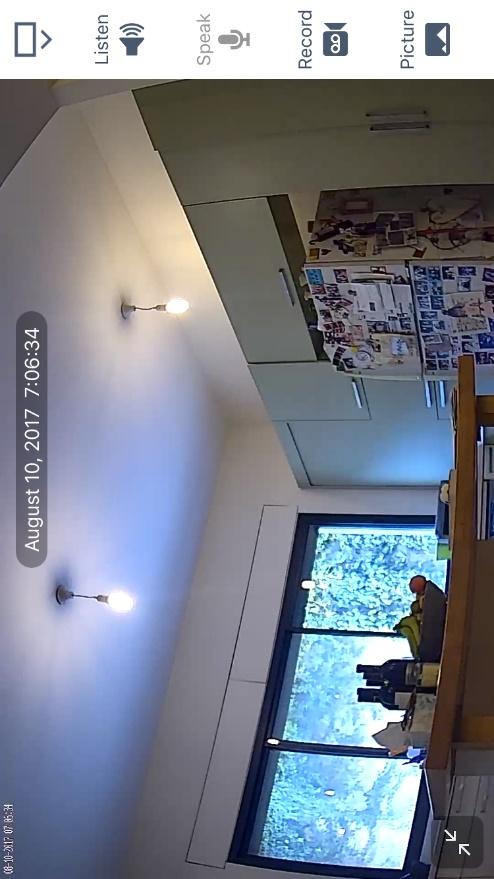 Live IP Camera View: Full Screen View, Landscape Tap the Options expand button to open and view the