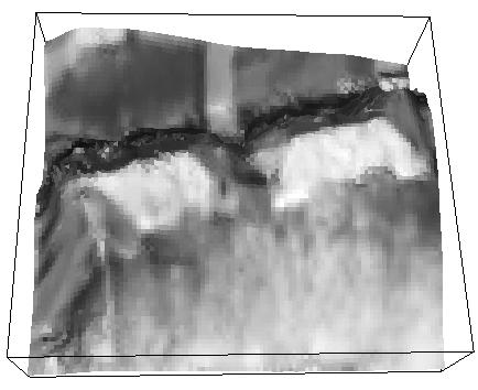 Figure 7: 3D view of DSM from stereo image matching Figure 8: Result of segmentation process and ground plan projected to ortho image 4