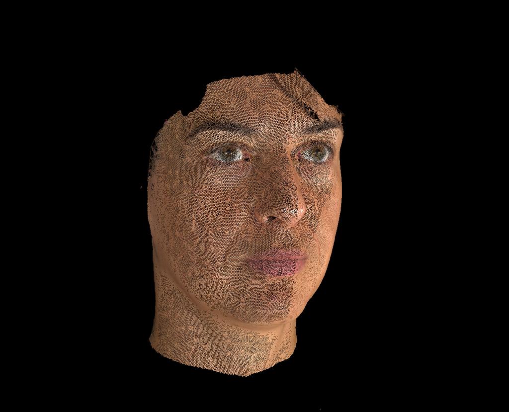 In the first scenario we can assume to have a training database consisting of 3D scans of faces a 3D model of one or more suspects.