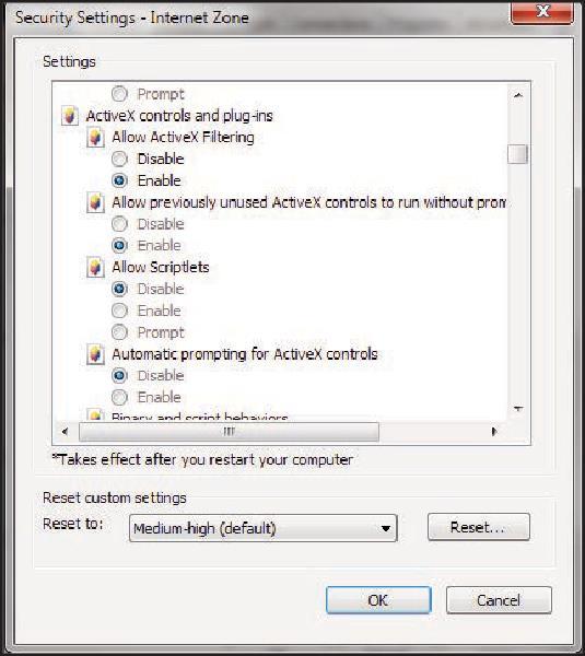 ActiveX Controls and Plug-Ins options.