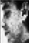 2.2. Preprocessing of Images We investigated two different preprocessing approaches: Using normalized grayscale images of the user s face as the input to the neural nets and applying edge detection
