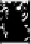 The largest skin colored region in the input image was selected as the face.