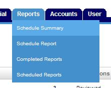 User Reports ATTENTION: The Citibank system can only run reports based on activities completed the prior day (e.g. transaction postings, reviewed transactions or allocations).