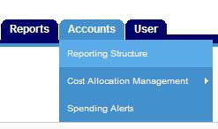 Basic Navigation - continued The Accounts tab allows approvers to view their account