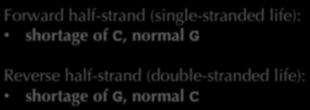 Recall: Peculiar Stats of #G - #C Forward half-strand (single-stranded life): shortage of C, normal G Reverse half-strand (double-stranded