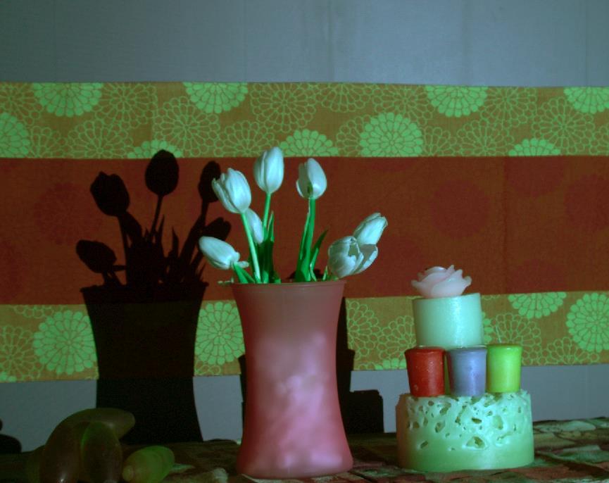Flower-Vase Diffusion