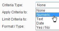 5. In the Criteria Type dropdown control, select Numeric, indicating that the criteria will be based on a numeric value: 6. An Operator field will appear to specify the operator for your expression.