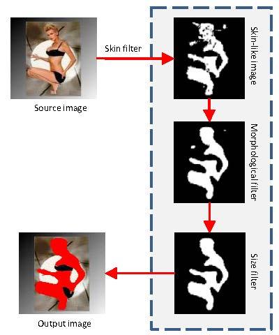 156 Multicolor Skin Modeling with Application to Skin Detection Figure 1: An overview of multi-color skin modeling 2.1.1 Skin filter in RGB space Indeed, one of the simplest methods for detecting skin pixels is to use an explicitly defined skin region.