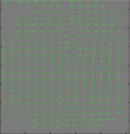 Fingerprint Enhancement by Fourier Transform We divide the image into small processing blocks (32 by 32 pixels) and perform the Fourier transform fig (5) [7] according to: ; Where u = 0, 1, 2,, 31