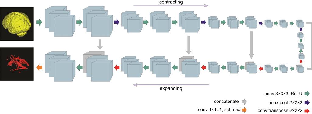 Figure 1: The 3D U-net style architecture with full-size multi-channel images as inputs and skip connections between a contracting path and an expanding path.