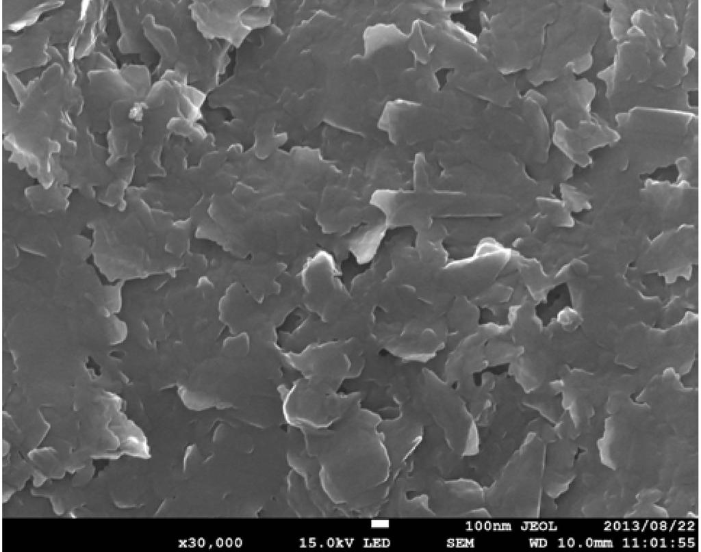 (c) SEM image of carbon coating layer on Pt foil at non-deposited part ( 30,000).