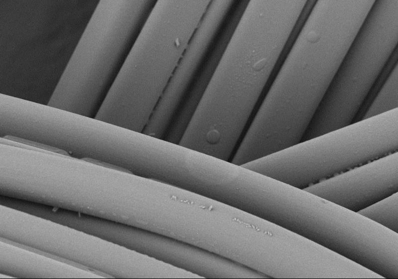 7. Theory of Low vacuum SEM Comparison: Metal Coated vs. uncoated sample TiO 2 TiO 2 20μm 20μm With Metal Coat (Pt) High Vacuum, BSE Vacc. : 5kV Sample:Photo-catalyst fibers Mag.