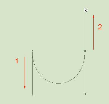 U-shaped curves To create a U-shaped curve: 1. Drag downward. As you drag you will notice that two handles are being created. 2.