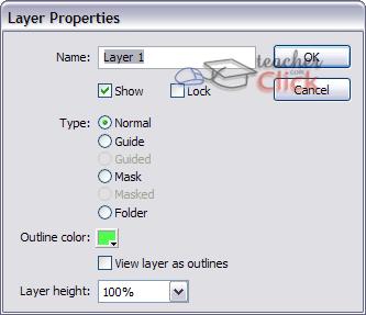 Layer Properties: If we double click the icon, we'll be able to access a panel with the properties of the layer we've clicked.