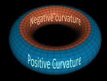 Fig. 5 A torus showing regions of positive and negative curvature. These signs are easy to understand.