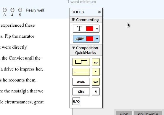 Chapter 3: Peer Review Section: PeerMark Tools Palette Adding Comments to a Peer Review PeerMark Tools Palette The PeerMark Tools palette contains all the commenting functions available to a student.