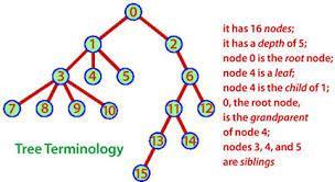 has one parent except a special node at the top of the tree called root node of the tree and the nodes at the lowest level are known as leaf nodes.