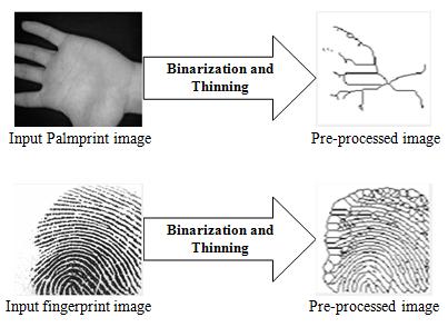 A. Preprocessing of palmprint and fingerprint images The first step of the proposed multimodal system is to pre-process the input fingerprint and palmprint images.