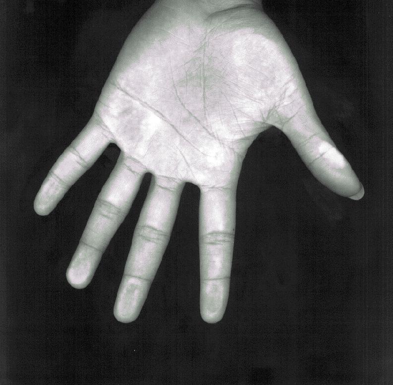 Figure 1: A hand image scanned in 100 dpi
