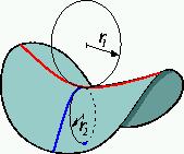Differential Geometry Every point on a continuous surface has two