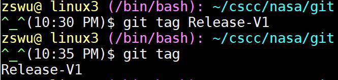 Tag Tag specific commit Release commit, e.g., v1.0.